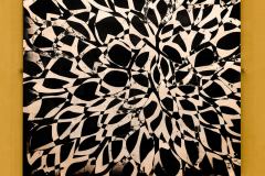 Applied-Photography_Product_003